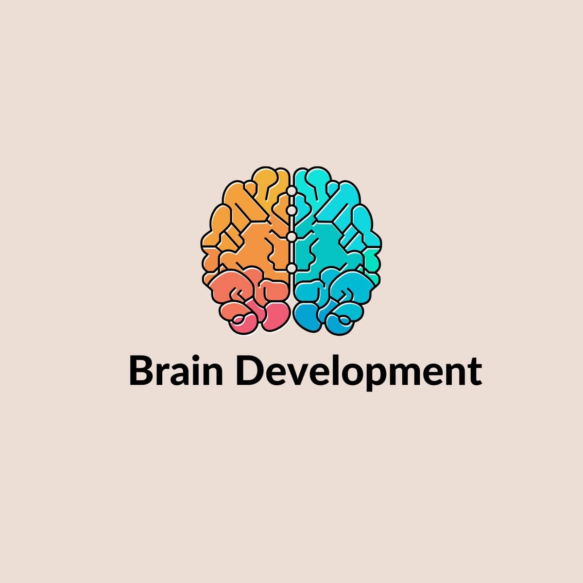 Brain Development programme graphic