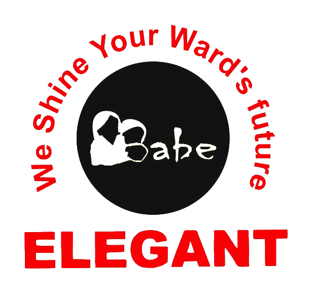 Elegant Babe Senior Secondary School Jaipur logo
